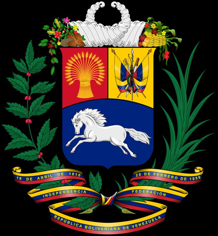 chat de Venezuela