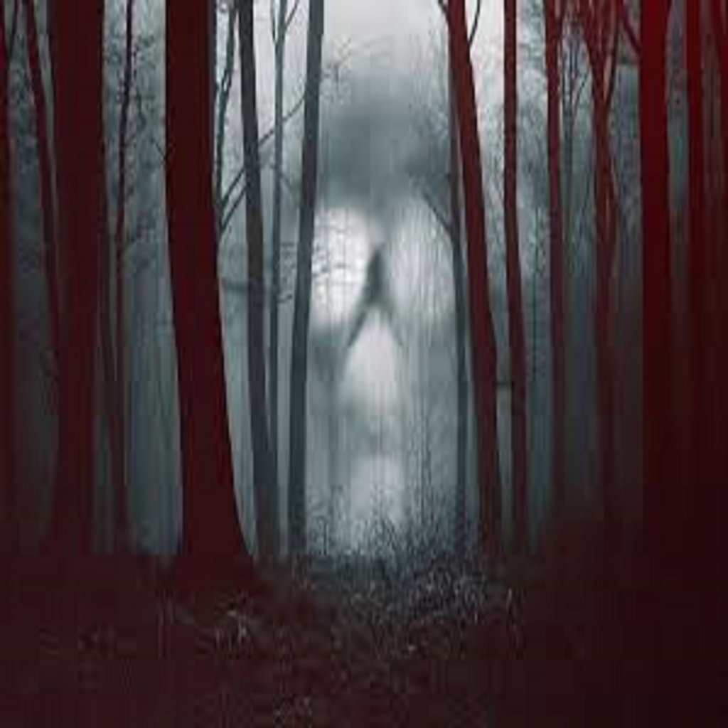 fantasma en el bosque